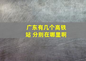 广东有几个高铁站 分别在哪里啊